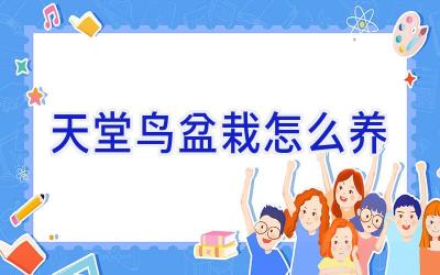 天堂鸟盆栽怎么养插图 天堂鸟盆栽怎么养插图