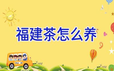 福建茶怎么养插图