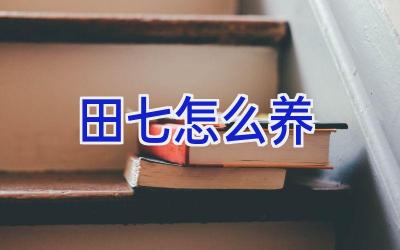 田七怎么养插图 田七怎么养插图