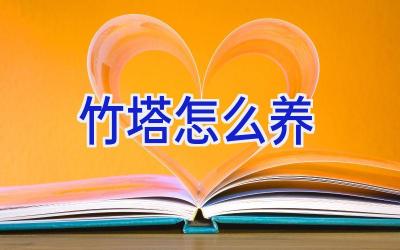 竹塔怎么养插图 竹塔怎么养插图