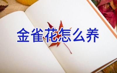 金雀花怎么养插图 金雀花怎么养插图