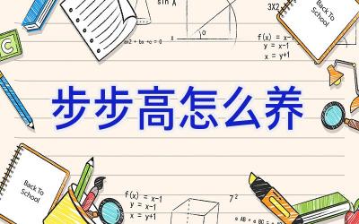 步步高怎么养插图 步步高怎么养插图