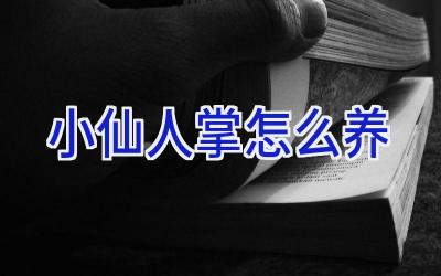 小仙人掌怎么养插图 小仙人掌怎么养插图