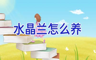 水晶兰怎么养插图 水晶兰怎么养插图