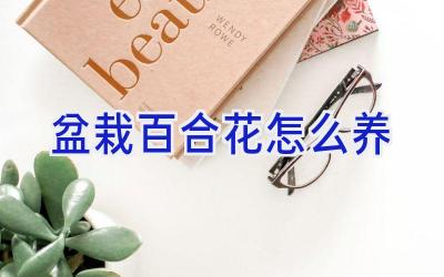 盆栽百合花怎么养插图 盆栽百合花怎么养插图