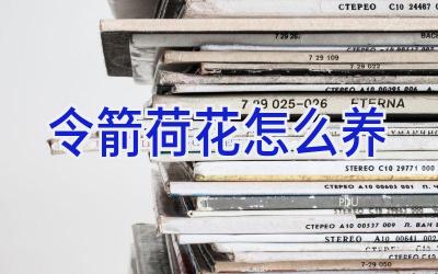 令箭荷花怎么养插图 令箭荷花怎么养插图