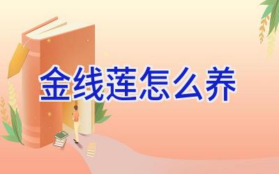 金线莲怎么养插图 金线莲怎么养插图