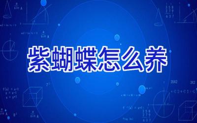 紫蝴蝶怎么养插图 紫蝴蝶怎么养插图