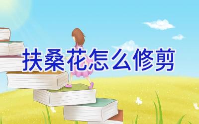 扶桑花怎么修剪插图 扶桑花怎么修剪插图