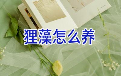 狸藻怎么养插图 狸藻怎么养插图