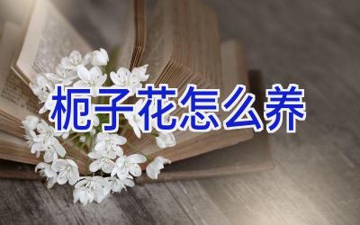 枙子花怎么养插图
