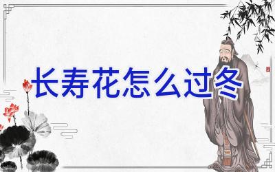 长寿花怎么过冬插图 长寿花怎么过冬插图