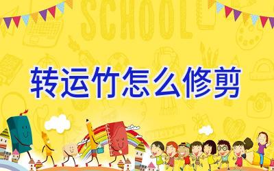 转运竹怎么修剪插图 转运竹怎么修剪插图