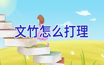 文竹怎么打理插图