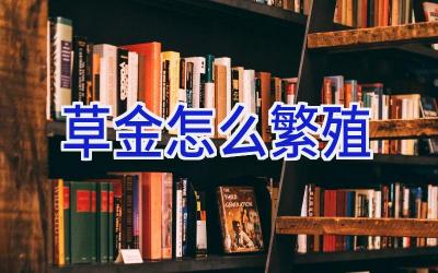 草金怎么繁殖插图