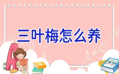 三叶梅怎么养插图 三叶梅怎么养插图