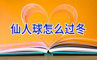 仙人球怎么过冬插图