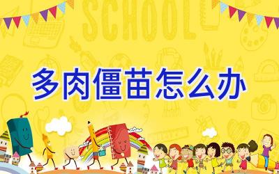 多肉僵苗怎么办插图 多肉僵苗怎么办插图