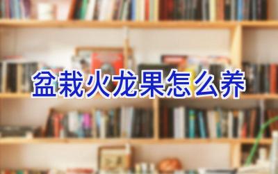 盆栽火龙果怎么养插图 盆栽火龙果怎么养插图