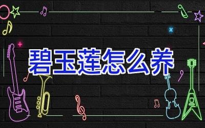 碧玉莲怎么养插图 碧玉莲怎么养插图