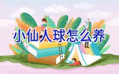 小仙人球怎么养插图