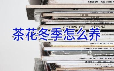 茶花冬季怎么养插图
