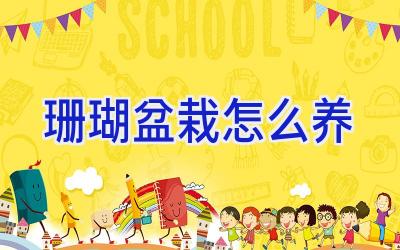 珊瑚盆栽怎么养插图 珊瑚盆栽怎么养插图