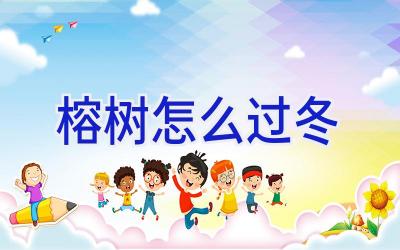 榕树怎么过冬插图