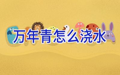 万年青怎么浇水插图 万年青怎么浇水插图