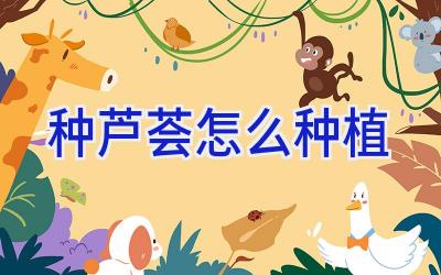 种芦荟怎么种植插图