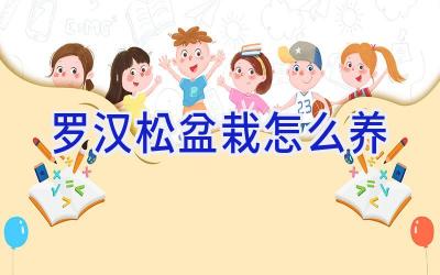 罗汉松盆栽怎么养插图 罗汉松盆栽怎么养插图
