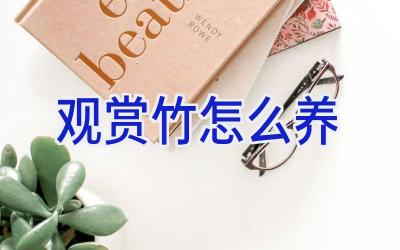 观赏竹怎么养插图 观赏竹怎么养插图