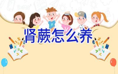 肾蕨怎么养插图 肾蕨怎么养插图