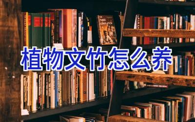 植物文竹怎么养插图 植物文竹怎么养插图