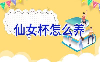 仙女杯怎么养插图