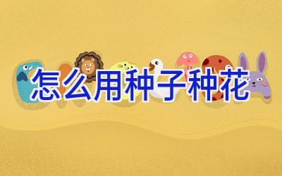 怎么用种子种花插图 怎么用种子种花插图