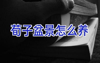 荀子盆景怎么养插图 荀子盆景怎么养插图