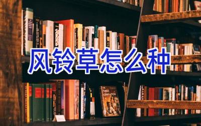 风铃草怎么种插图 风铃草怎么种插图