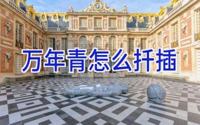 万年青怎么扦插插图