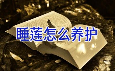 睡莲怎么养护插图 睡莲怎么养护插图