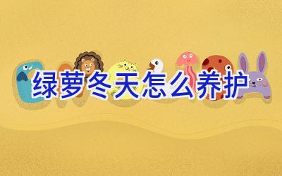 绿萝冬天怎么养护插图