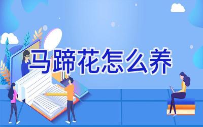 马蹄花怎么养插图