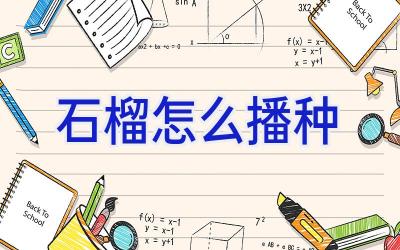 石榴怎么播种插图