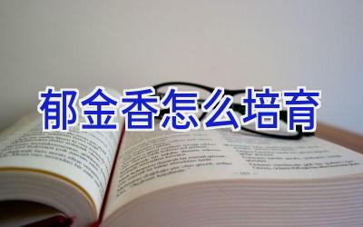 郁金香怎么培育插图