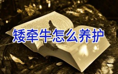 矮牵牛怎么养护插图 矮牵牛怎么养护插图