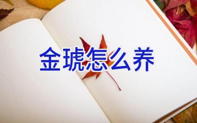 金琥怎么养插图