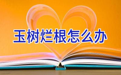 玉树烂根怎么办插图