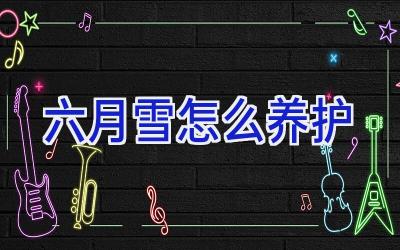 六月雪怎么养护插图 六月雪怎么养护插图