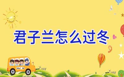 君子兰怎么过冬插图