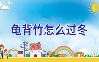 龟背竹怎么过冬插图